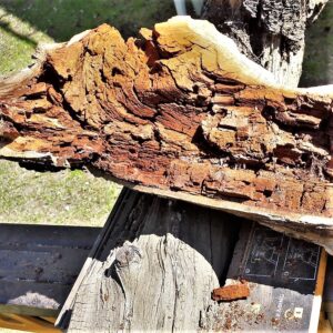 1.1_01_pflaumendreher_1