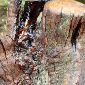 1.1_04_schale_kontraste_1