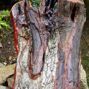 1.1_04_schale_kontraste_2