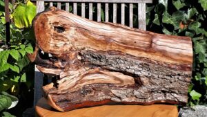 1.1_04_schale_kontraste_3