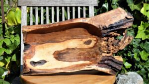 1.1_04_schale_kontraste_4