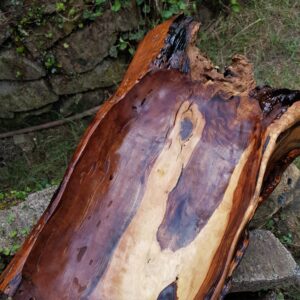 1.1_04_schale_kontraste_5