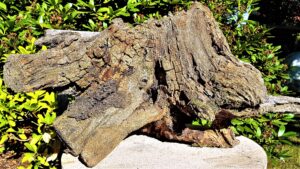 1.1_05_leuchter_sternschnuppe_1