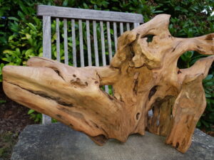 1.1_06_wurzelleuchter_1