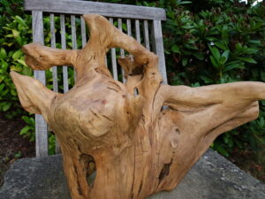 1.1_06_wurzelleuchter_2