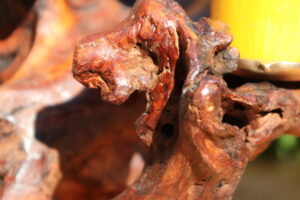 1.1_06_wurzelleuchter_5