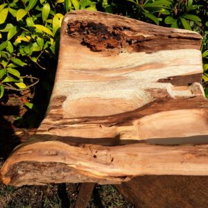 1.1_07_dreierSchale_Leuchter_2