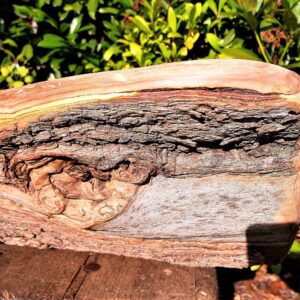 1.1_07_dreierSchale_Leuchter_3