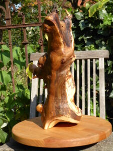 1.1_08_chamaeleon_10