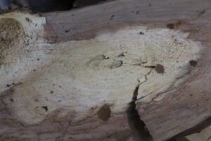 1.1_10_seifenschale_1